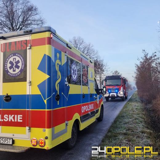 Dachowanie w powiecie namysłowskim