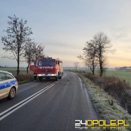 Dachowanie w powiecie namysłowskim