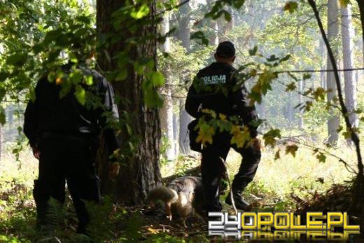Przechodzień znalazł ludzkie kości w lesie. Trwa dochodzenie 
