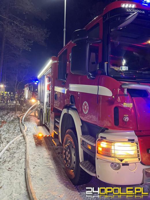 Spłonął domek letniskowy w Krasiejowie