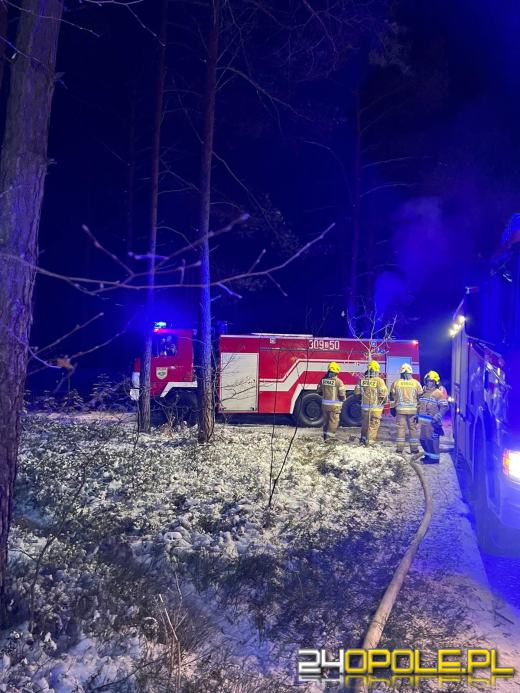 Spłonął domek letniskowy w Krasiejowie