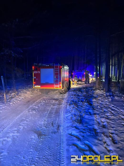 Spłonął domek letniskowy w Krasiejowie