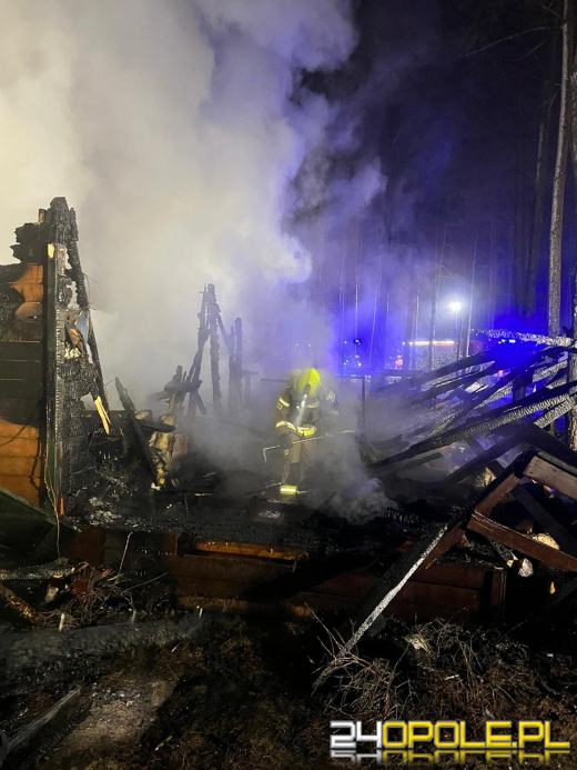 Spłonął domek letniskowy w Krasiejowie