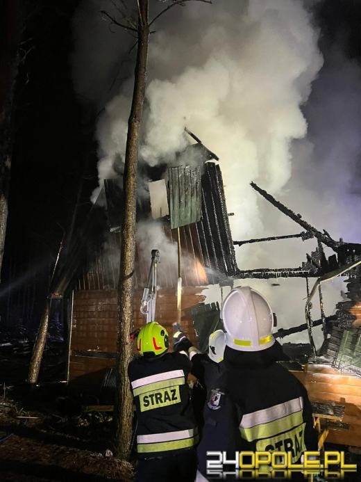 Spłonął domek letniskowy w Krasiejowie