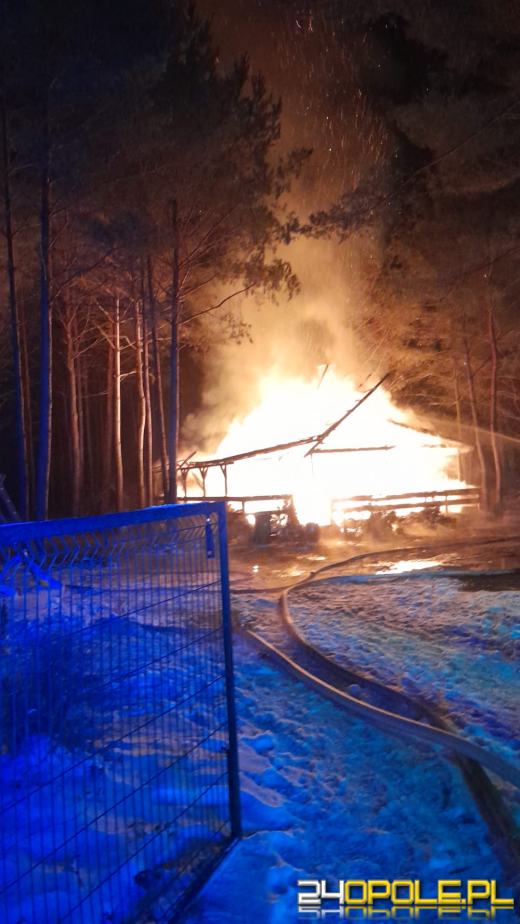 Spłonął domek letniskowy w Krasiejowie