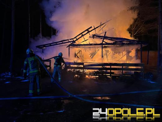 Spłonął domek letniskowy w Krasiejowie