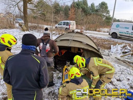 Przez 8 godzin walczyli aby uratowac konia