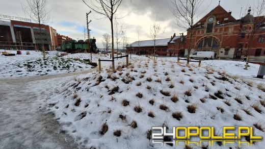 Pamiątkowa tablica Olgi Sipowicz już jest. Czekamy na głos Rady Miasta w sprawie nazwy placu