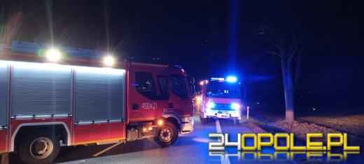 Tragiczny wypadek na DK94. Ciężarówka śmiertelnie potrąciła pieszego