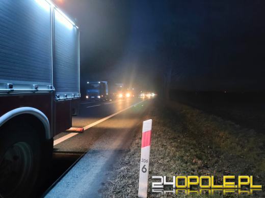 Tragiczny wypadek na DK94. Ciężarówka śmiertelnie potrąciła pieszego