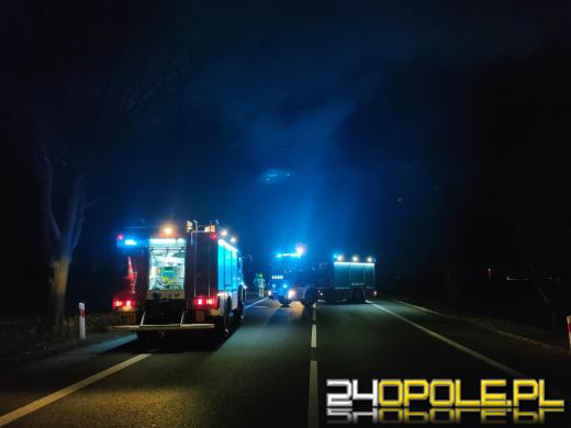 Tragiczny wypadek na DK94. Ciężarówka śmiertelnie potrąciła pieszego