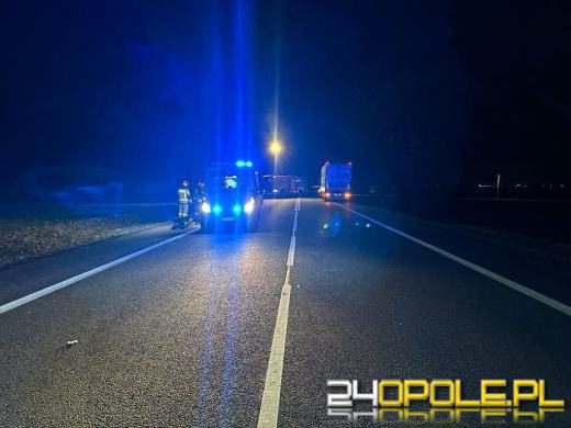 Tragiczny wypadek na DK94. Ciężarówka śmiertelnie potrąciła pieszego