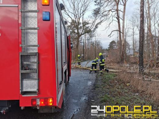 Silny wiatr i wezbrania wód. Wydano alerty meteorologiczne