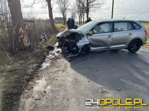 17-latek bez prawa jazdy uderzył w drzewo 