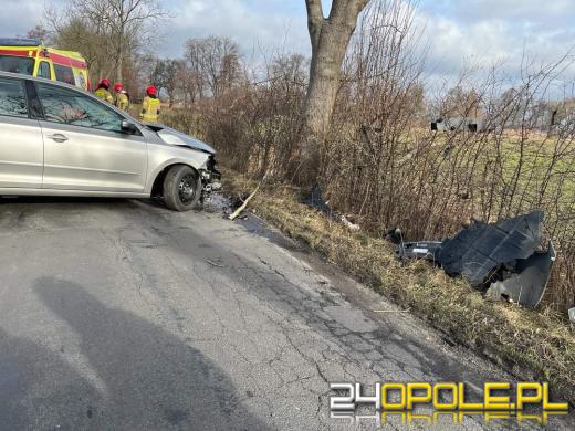 17-latek bez prawa jazdy uderzył w drzewo 