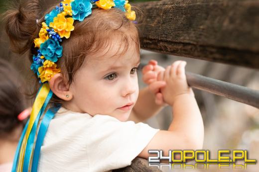 Czy będzie 800 plus dla Ukraińców?