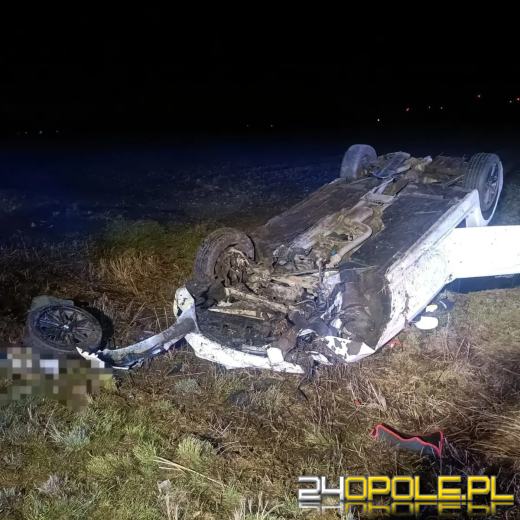 Dachowanie pomiędzy Wilkowem i Bierutowem na DW 451