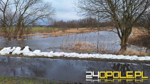 Przekroczenie stanów ostrzegawczych na Małej Panwi