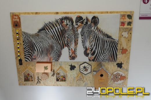  Przychodnia przy ul. Waryńskiego po remoncie. Zobacz, jak wygląda