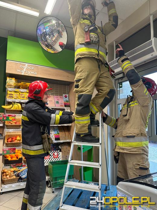 Nietypowa akcja ratunkowa w Opolu