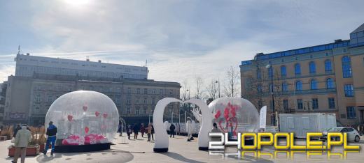 Szukasz romantycznego miejsca na zdjęcie? Przyjdź na plac Kopernika