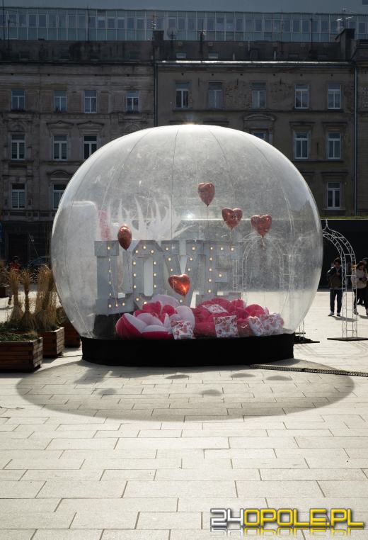 Szukasz romantycznego miejsca na zdjęcie? Przyjdź na plac Kopernika