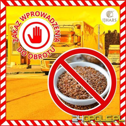  Martwe szkodniki w nasionach lnu z Ukrainy