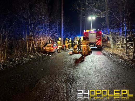 Wjechał osobówka w drzewo - 3 osoby zabrane do szpitala