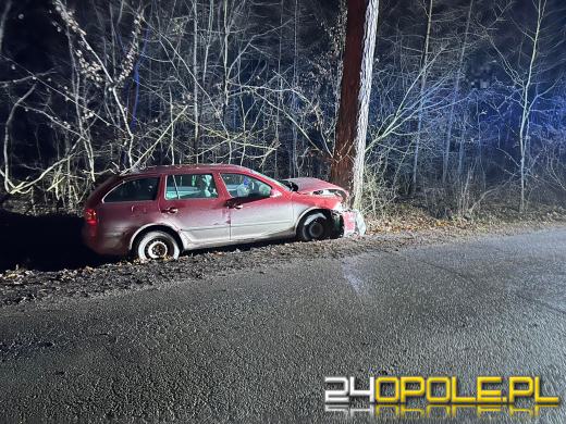 Wjechał osobówka w drzewo - 3 osoby zabrane do szpitala