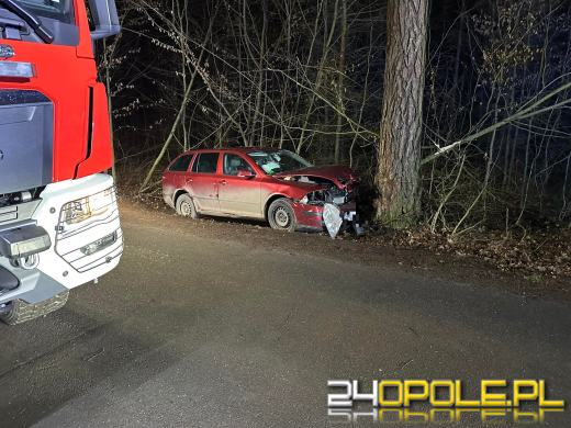 Wjechał osobówka w drzewo - 3 osoby zabrane do szpitala