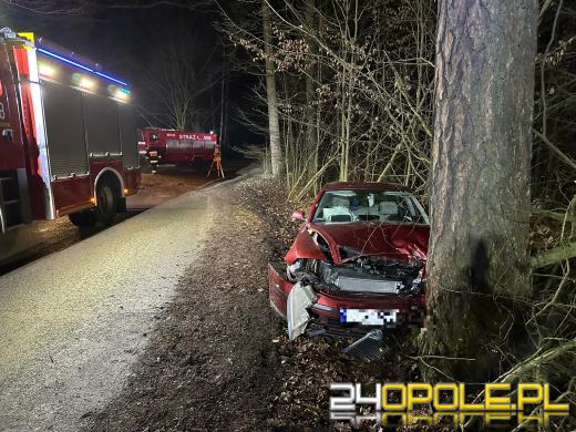 Wjechał osobówka w drzewo - 3 osoby zabrane do szpitala