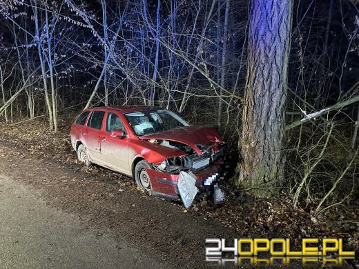 Wjechał osobówka w drzewo - 3 osoby zabrane do szpitala