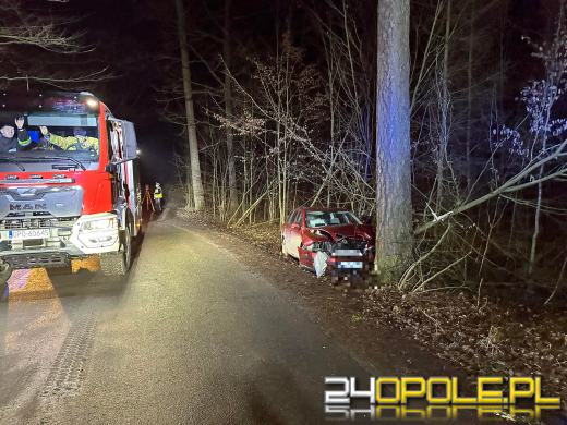 Wjechał osobówka w drzewo - 3 osoby zabrane do szpitala