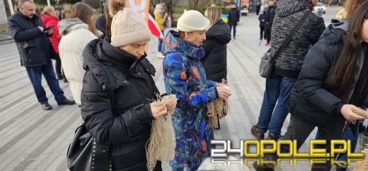 Na placu Wolności odbył się wiec poparcia dla walczącej Ukrainy