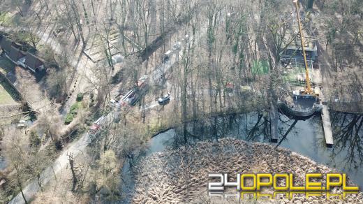 Poważnym urazem głowy zakończyła się wycinka drzew na Bolko