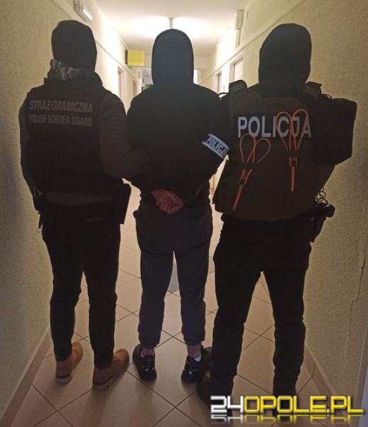 Mafia przemycająca uciekinierów z Afryki i Bliskiego Wschodu rozbita 