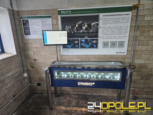 Małże badają jakość wody w strzeleckich wodociągach