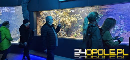 Od dzisiaj można już podziwiać "Wodny Świat" w opolskim ZOO