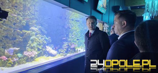 Od dzisiaj można już podziwiać "Wodny Świat" w opolskim ZOO