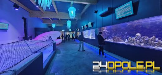 Od dzisiaj można już podziwiać "Wodny Świat" w opolskim ZOO