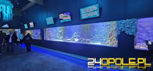 Od dzisiaj można już podziwiać "Wodny Świat" w opolskim ZOO