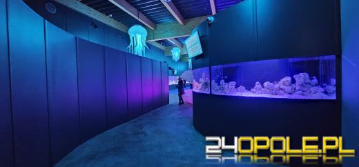 Od dzisiaj można już podziwiać "Wodny Świat" w opolskim ZOO