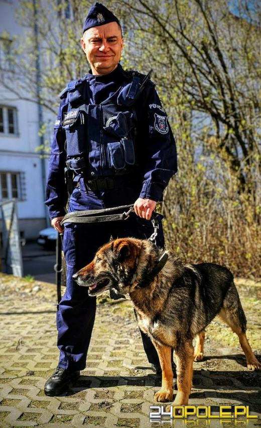 Zmiana psiej warty w strzeleckiej komendzie