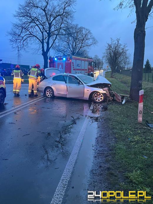 Zderzenie BMW z drzewem na ulicy Oleśnickiej w Namysłowie