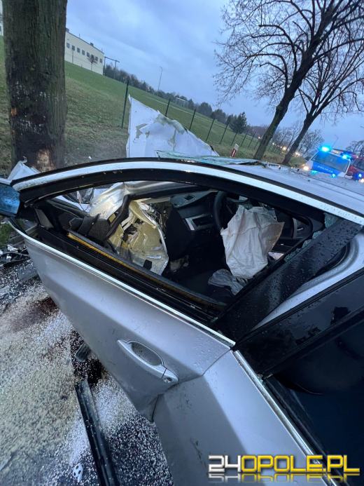 Zderzenie BMW z drzewem na ulicy Oleśnickiej w Namysłowie