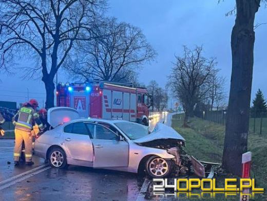 Zderzenie BMW z drzewem na ulicy Oleśnickiej w Namysłowie