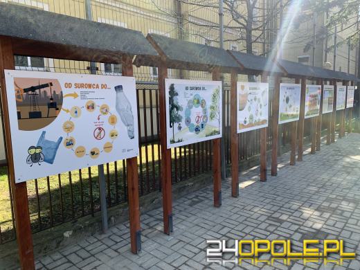 Edukacyjny plac Muchy Odpaduchy już otwarty