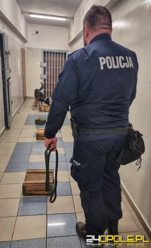 Zobacz opolskich czworonożnych funkcjonariuszy w akcji