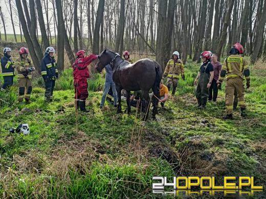 Strażacy uratowali konia z opresji