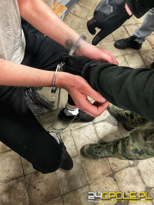 Podejrzani o rozbój, włamanie i zniszczenie mienia w rękach policjantów
